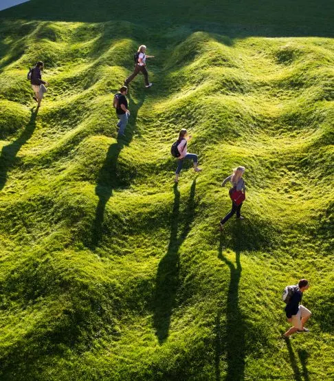 People running on the Wave Field